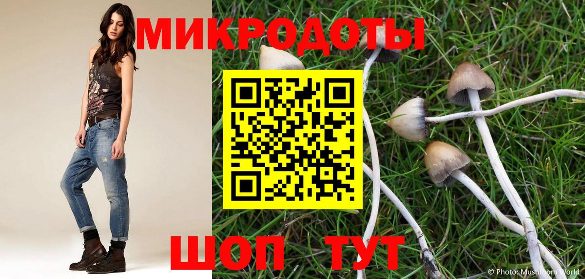 Псилоцибиновые грибы мицелий  Вход с VPN  Гусев 